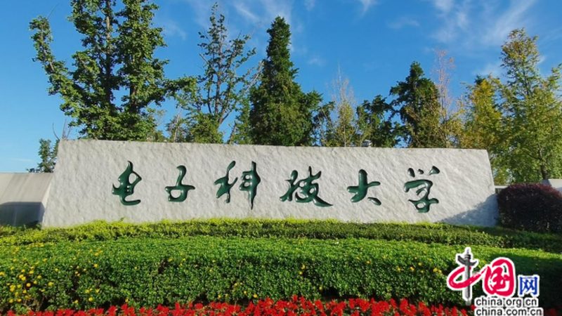 线路板加工价格之谜：揭秘一平米背后的因素**